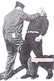 Scaled Image 8
